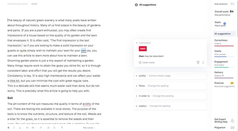 Grammarly Interface